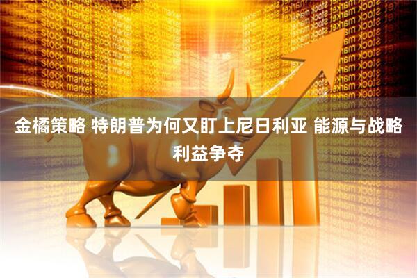 金橘策略 特朗普为何又盯上尼日利亚 能源与战略利益争夺