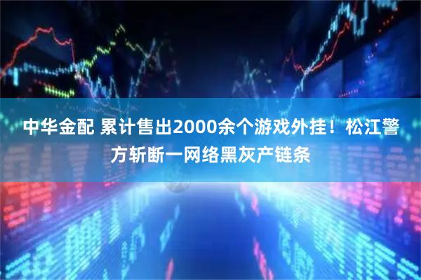 中华金配 累计售出2000余个游戏外挂！松江警方斩断一网络黑灰产链条