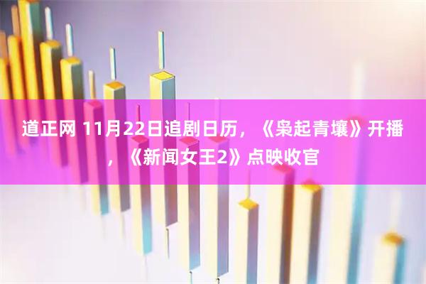 道正网 11月22日追剧日历，《枭起青壤》开播，《新闻女王2》点映收官