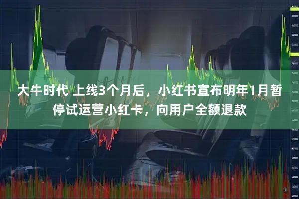 大牛时代 上线3个月后，小红书宣布明年1月暂停试运营小红卡，向用户全额退款